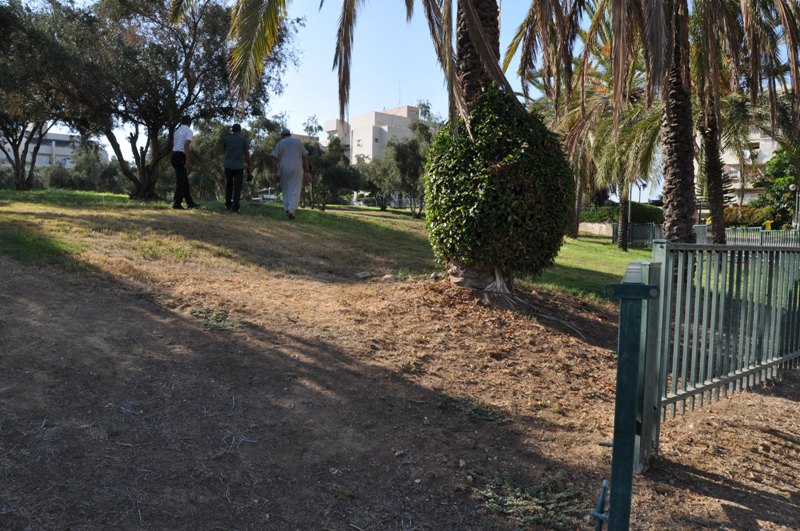 WhatsApp Image 2020-09-12 at 2.29.59 PM.jpeg.jpeg